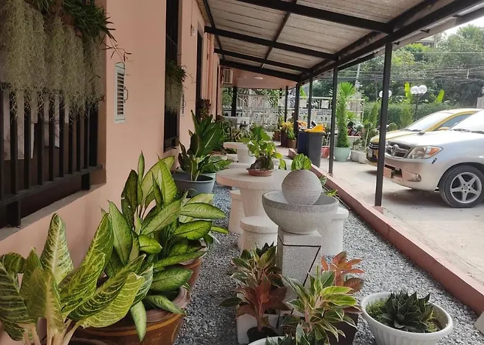 Apartment 66 *