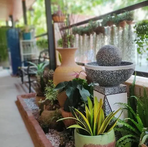66 Apartment *